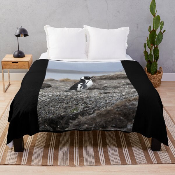 Item preview, Magellanic Penguin protecting nest on Isla Martillo black background designed and sold by SBPenguins.