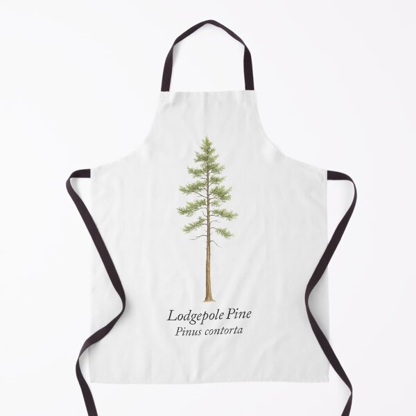 Item preview, Lodgepole Pine – Pinus contorta designed and sold by BloomKind.