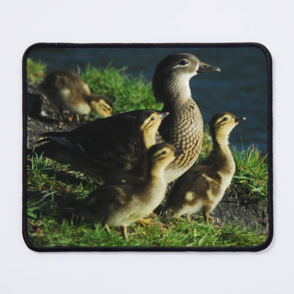 Item preview, That's ducked up designed and sold by wagtails.art.