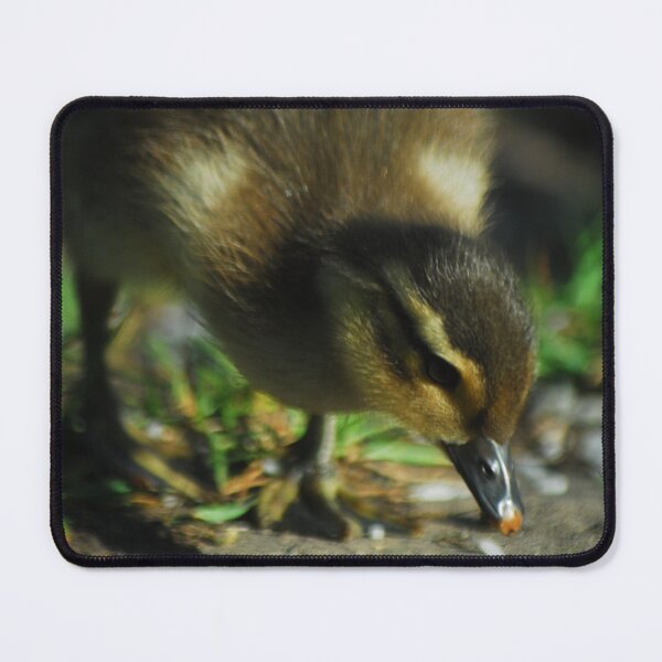 Item preview, That's ducked up designed and sold by wagtails.art.