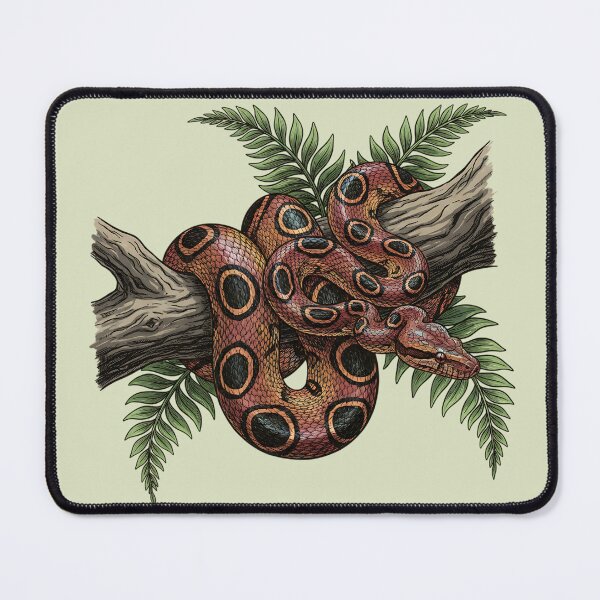 Item preview, Brazilian Rainbow Boa with Jungle Ferns designed and sold by BirdsnStuff.