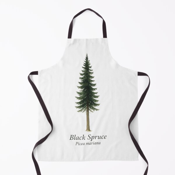 Item preview, Black Spruce – Picea mariana designed and sold by BloomKind.