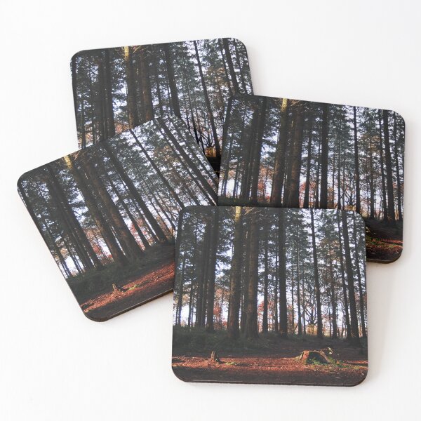 Item preview, Sunlight in the forest designed and sold by wagtails.art.