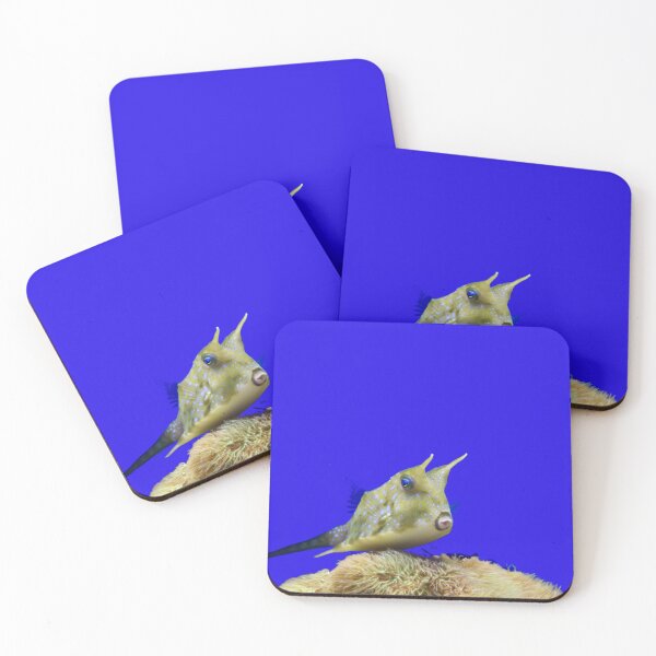 Item preview, Proud little fish – underwater elegance / Swiss Artwork Photography designed and sold by Raphael Wolf.