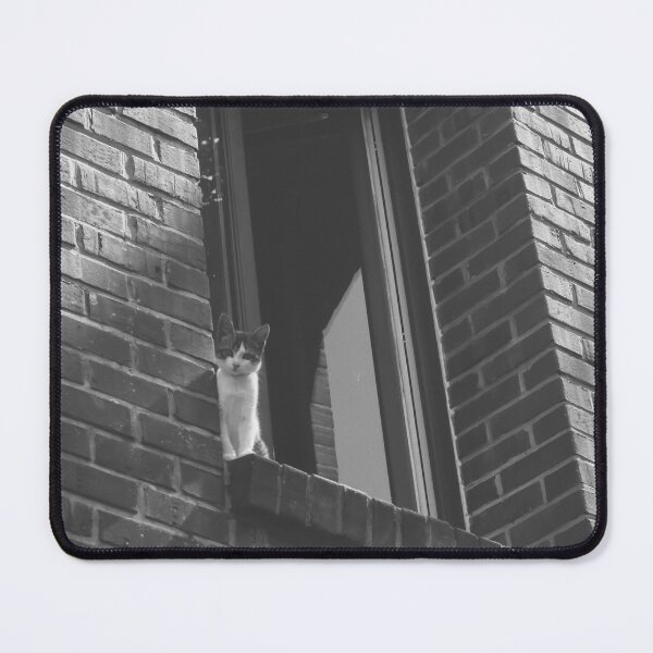 Item preview, Cat on a Perch - Black and White Film designed and sold by Soronelite.