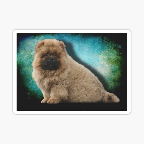 Oso the Chow Chow Puppy Dog Sticker