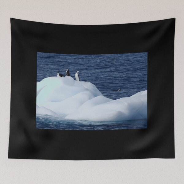 Item preview, Chinstrap penguins on ice 1 black background designed and sold by SBPenguins.