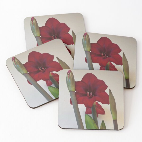 Item preview, Amaryllis Ruby Resilience designed and sold by PatriciaGeremia.