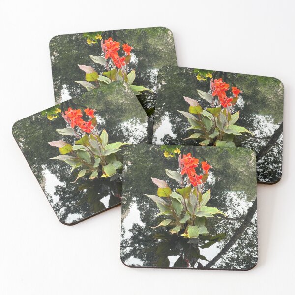 Item preview, Splash of Color  designed and sold by PatriciaGeremia.