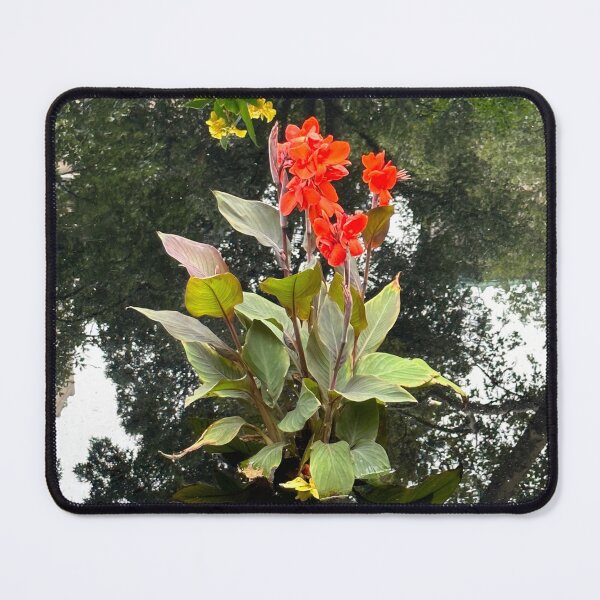Item preview, Splash of Color  designed and sold by PatriciaGeremia.