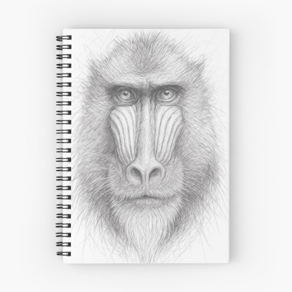 Item preview, Mandrill Monkey Pencil Sketch designed and sold by Leon Woods Pencil Art.