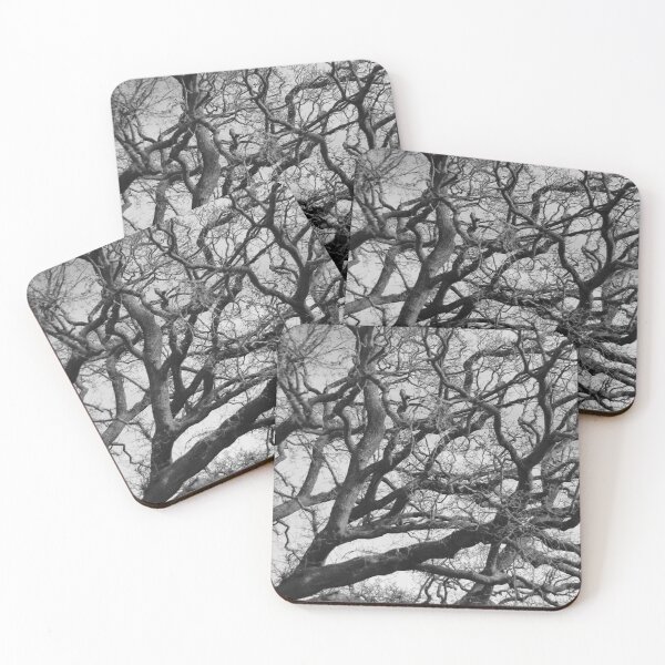 Item preview, Gnarled Oak Silhouette in Black and White designed and sold by pinkal.