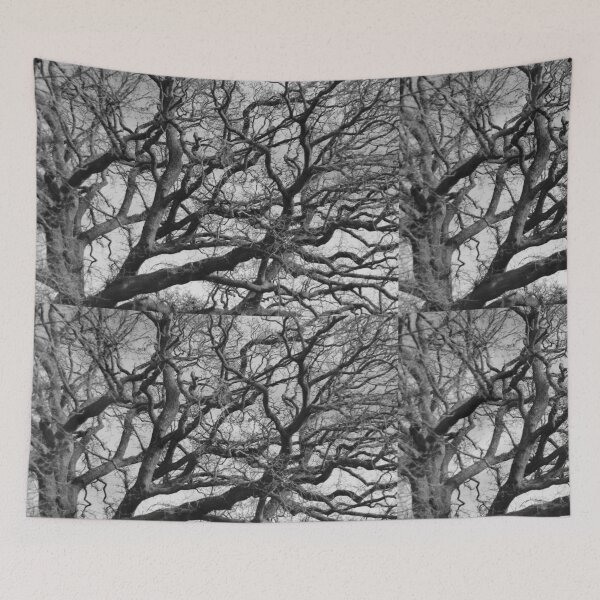 Item preview, Gnarled Oak Silhouette in Black and White designed and sold by pinkal.