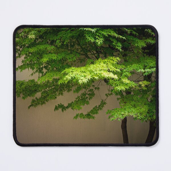 Item preview, Courtyard Maple designed and sold by metriognome.