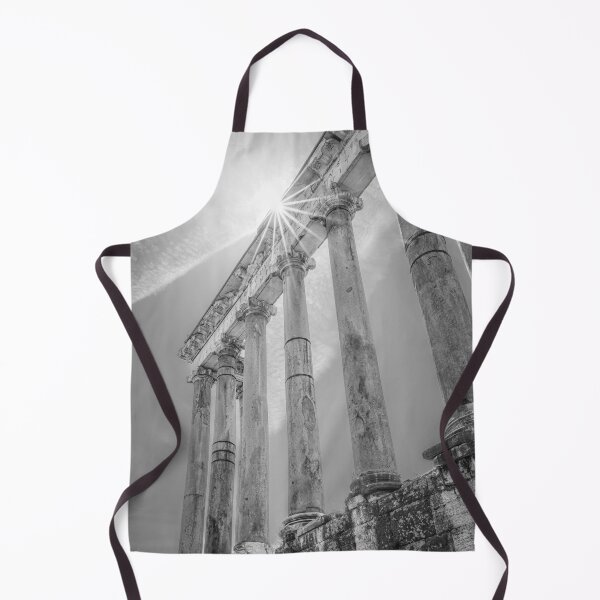 Item preview, Temple of Saturn Rome Italy BW designed and sold by PhotoArt by Joan Carroll.