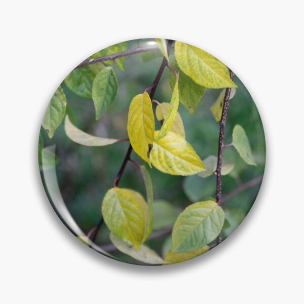 Item preview, Colorful autumn leaves on tree designed and sold by olena2552.