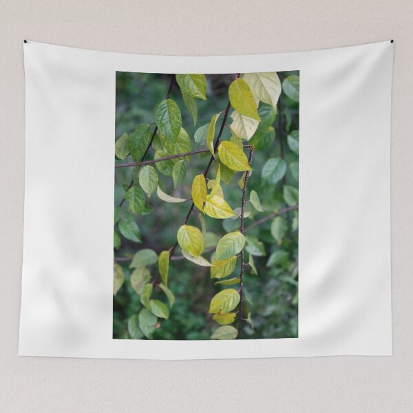 Item preview, Colorful autumn leaves on tree designed and sold by olena2552.