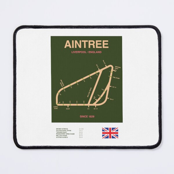 Item preview, Minimalist Aintree Horse Racing Course Line Print designed and sold by The Circuit Collection.