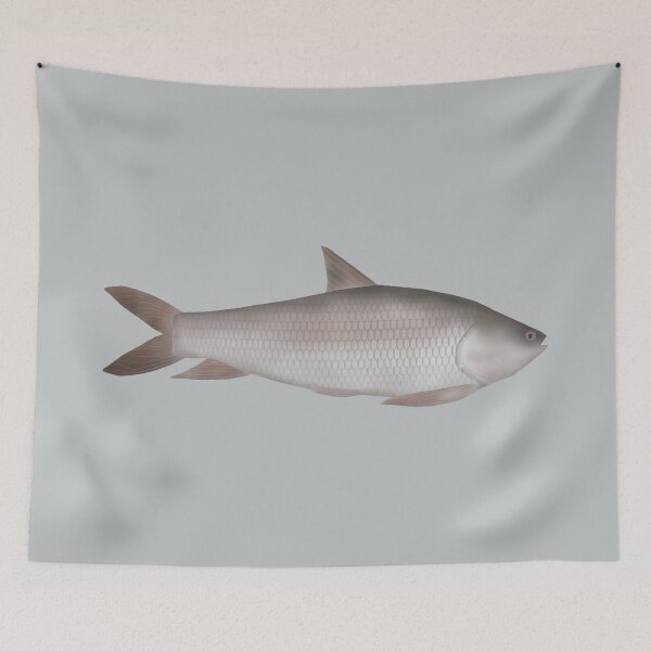 Item preview, Reba Carp designed and sold by fishfolkart.