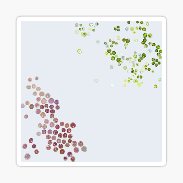 Red & green algae Sticker