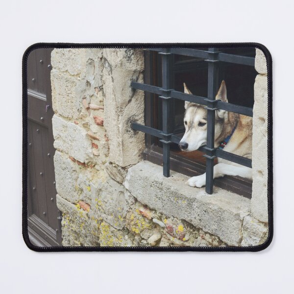 Item preview, Cute Dog Looking Out Window in Medieval Town designed and sold by CarolinaReina.