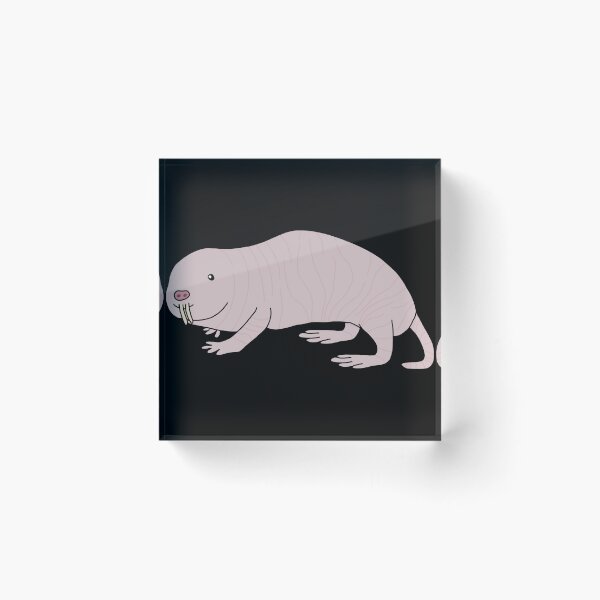 Item preview, Naked Mole Rat designed and sold by Leapingdoe.