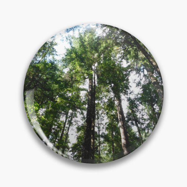 Item preview, Conifer trees designed and sold by mynature1.