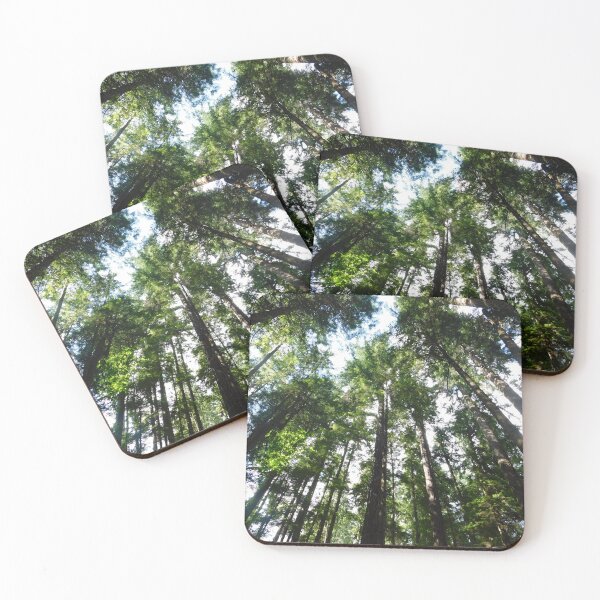 Item preview, Conifer trees designed and sold by mynature1.