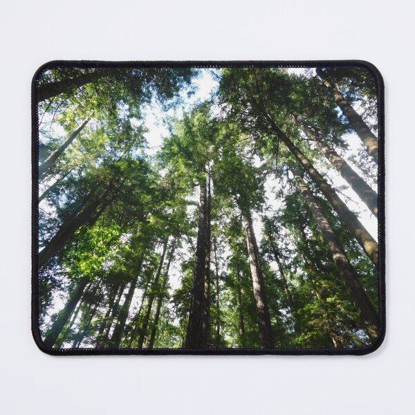 Item preview, Conifer trees designed and sold by mynature1.