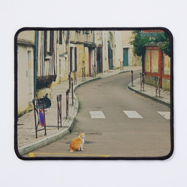 Item preview, Cat in Auxerre, Burgundy region of France designed and sold by CarolinaReina.