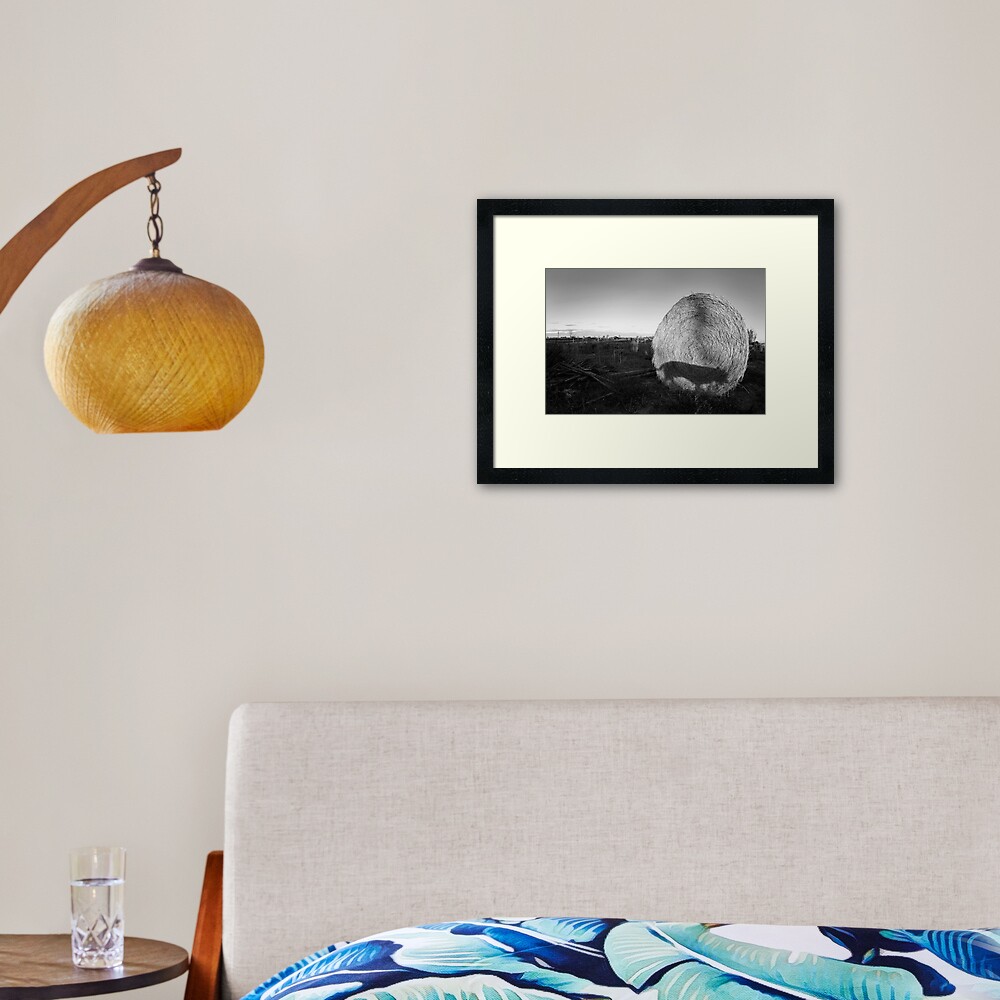 Straw Shadow Framed Art Print