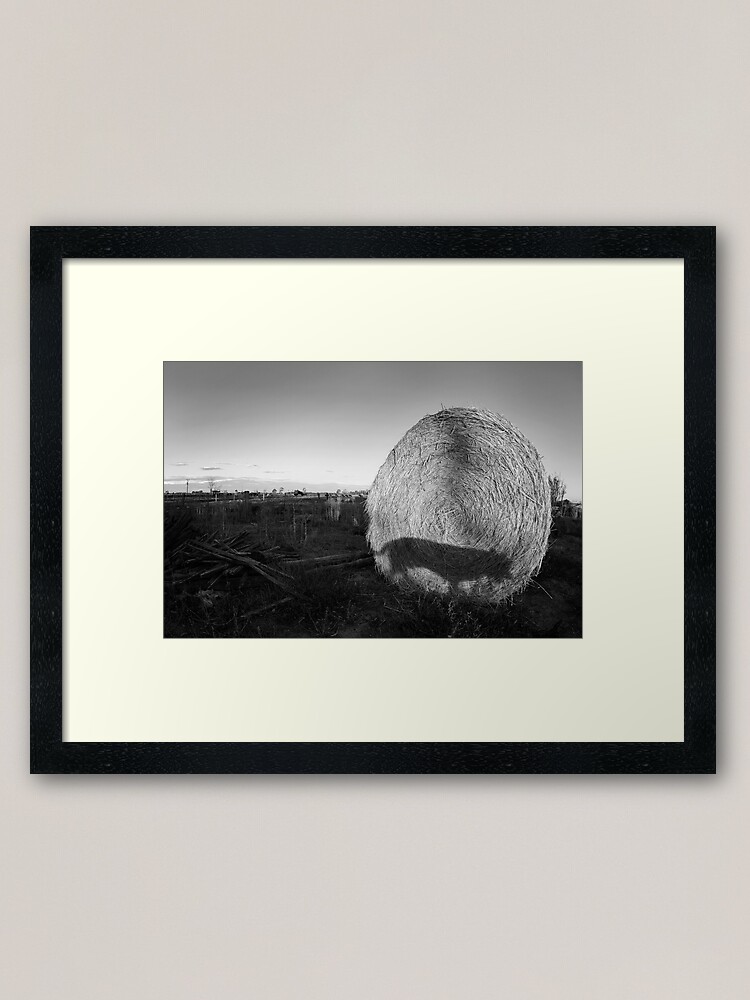 Alternate view of Straw Shadow Framed Art Print