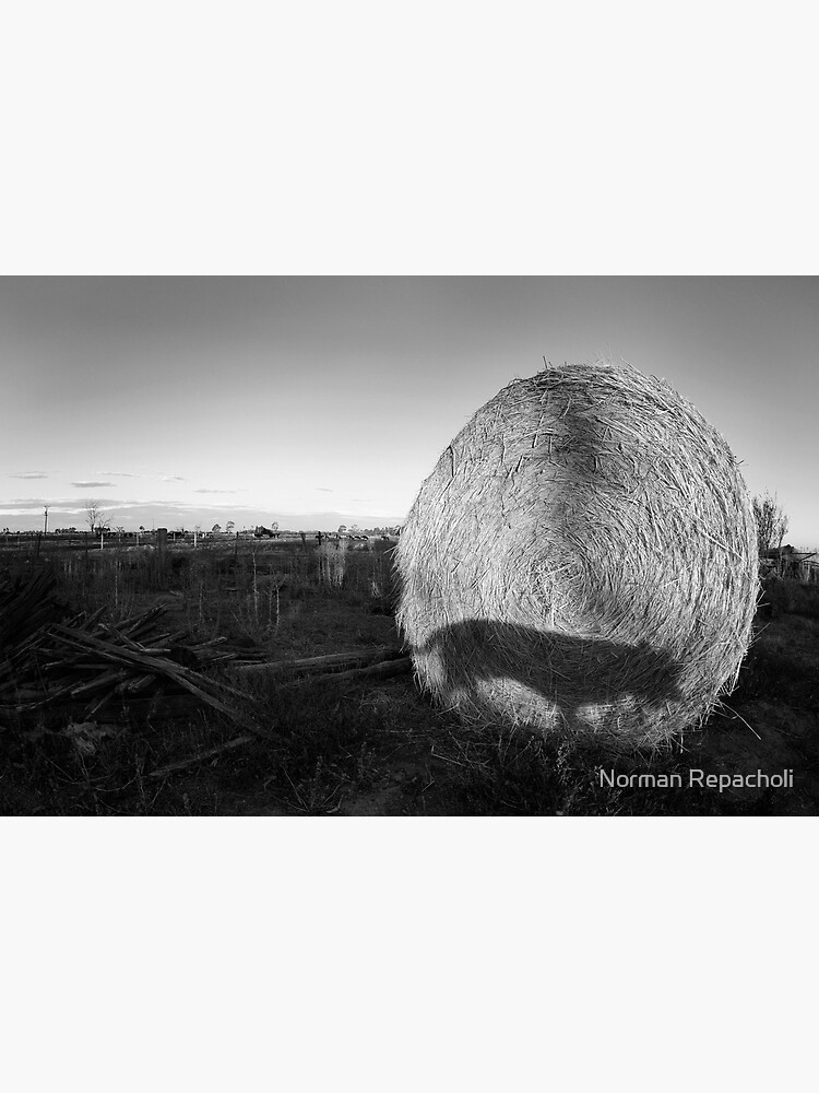 Straw Shadow by keystone