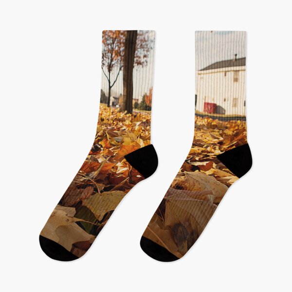 Item preview, Fall Leaves designed and sold by RCPphotography.
