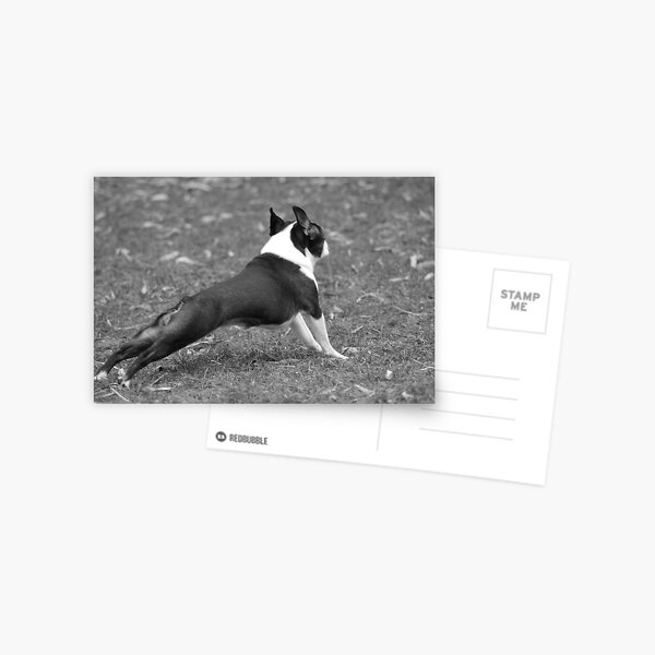 Morning Exercise Postcard