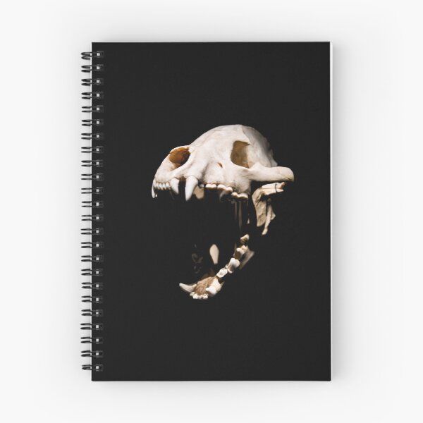 Item preview, Predatory Dinosaurs – Primeval Power / Swiss Artwork Photography designed and sold by Raphael Wolf.