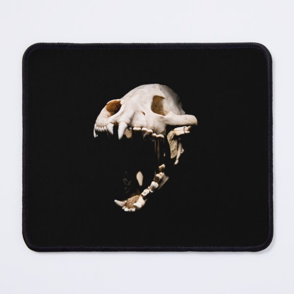 Item preview, Predatory Dinosaurs – Primeval Power / Swiss Artwork Photography designed and sold by Raphael Wolf.
