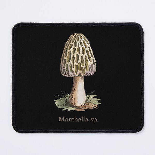 Item preview, Morel Mushroom – Morchella sp. Botanical Illustration designed and sold by DreamVibeShirt.