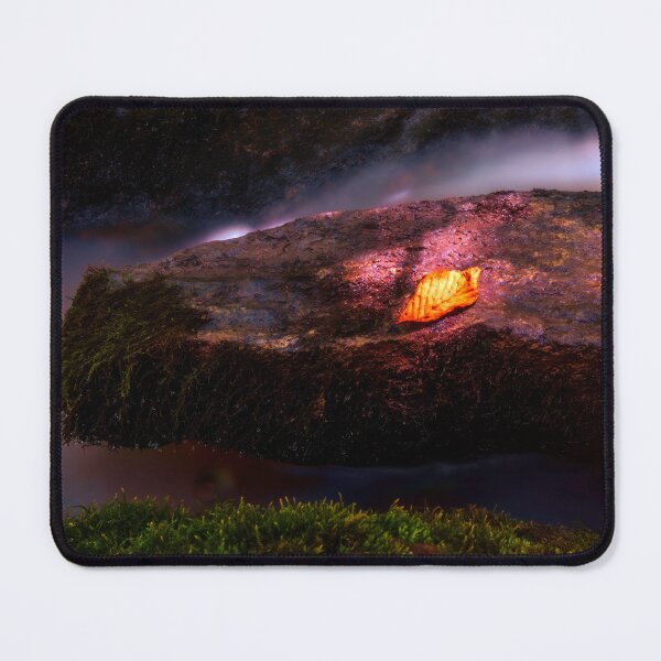 Item preview, Autumn On A Mossy Rock designed and sold by Jim Love.