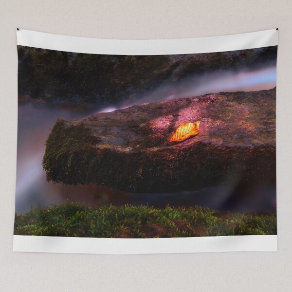 Item preview, Autumn On A Mossy Rock designed and sold by Jim Love.