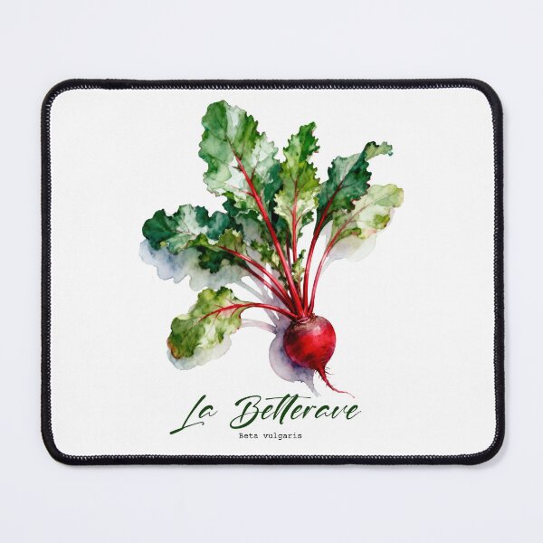 Aperçu de l'œuvre La Betterave – Aquarelles botaniques françaises pour jardiniers et francophiles créée et vendue par FrancophileFun.