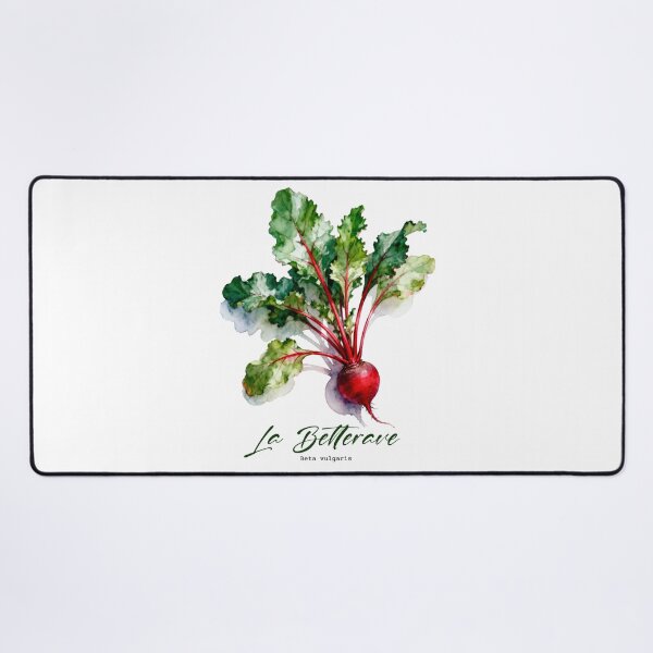 Aperçu de l'œuvre La Betterave – Aquarelles botaniques françaises pour jardiniers et francophiles créée et vendue par FrancophileFun.