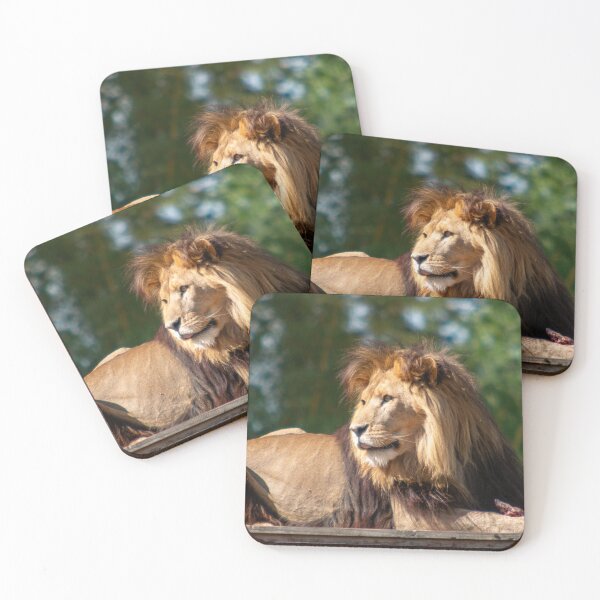 Item preview, Lion Resting on a Wooden Platform designed and sold by Compusmurf Design.