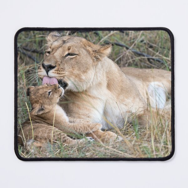 Item preview, Lioness of Khwai, Mother Love at the Den, Okavango Delta designed and sold by DavideAntoniani.