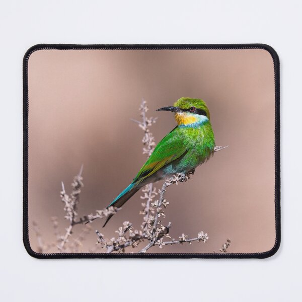 Item preview, Emerald Spark — Little Bee‑Eater in Soft Savanna Light designed and sold by DavideAntoniani.