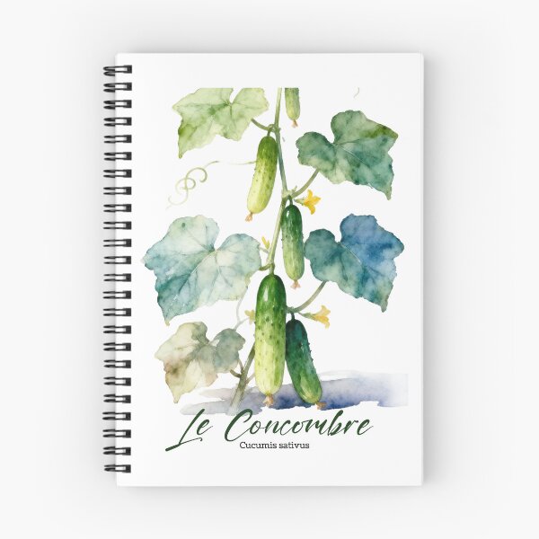 Aperçu de l'œuvre Le Concombre – Aquarelle botanique française pour jardiniers et francophiles créée et vendue par FrancophileFun.