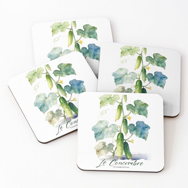 Aperçu de l'œuvre Le Concombre – Aquarelle botanique française pour jardiniers et francophiles créée et vendue par FrancophileFun.