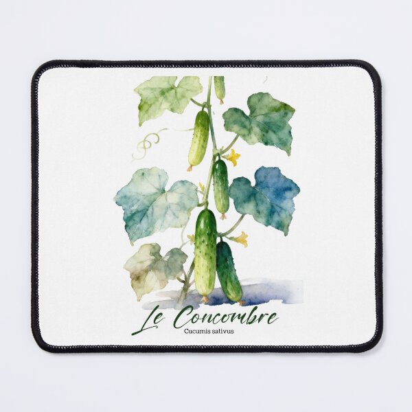 Item preview, Le Concombre (Cucumber) – French Botanical Watercolor Art for Gardeners & Francophiles designed and sold by FrancophileFun.