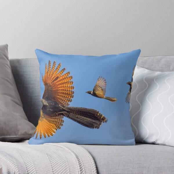 Item preview, Pheasant Coucal designed and sold by Robert Ashdown.