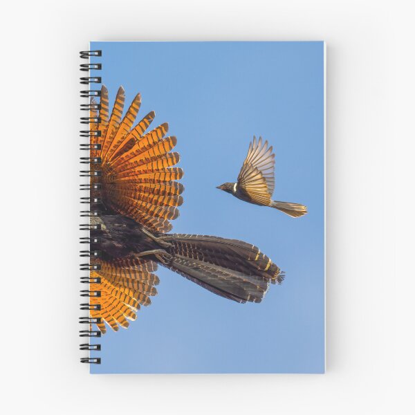 Item preview, Pheasant Coucal designed and sold by Robert Ashdown.